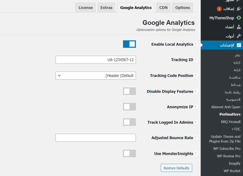 Perfmatters Google Analytics