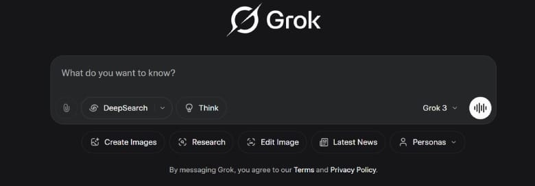 grok chat page