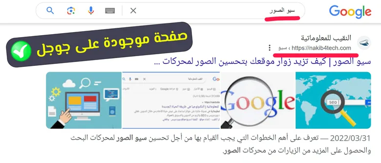 page indexed on google