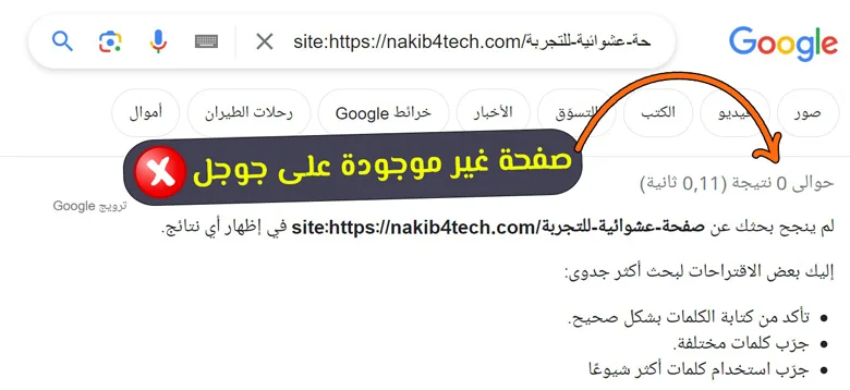 page not indexed on google