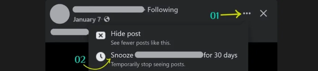 facebook snooze post