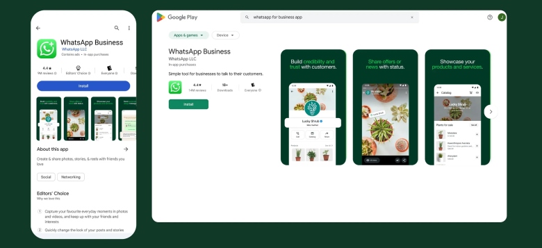 whatssapp business overview