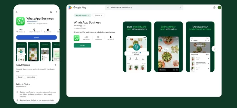 whatssapp business overview